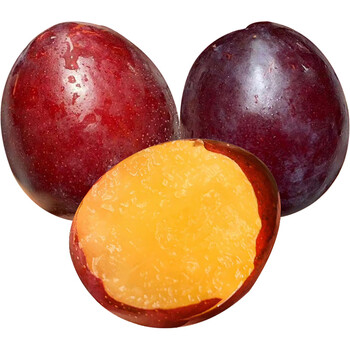 jd速运鸡心李新鲜当季孕妇水果黑布林李子2斤精品果