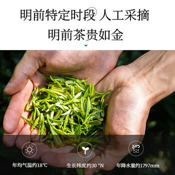 第一江南2026新茶安吉绿茶白茶特级200g明前茶叶礼盒装醉清风高端送礼物