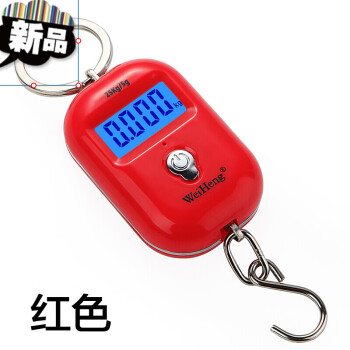 BECBI 10kg x 5g Electronic Hand Scale For Fishing Weight Luggage