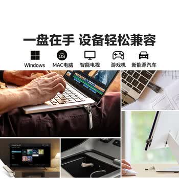 三星（SAMSUNG）256GB USB3.1 U盘 BAR 学习办公金属高速优盘 车载U盘 读速400MB/s（Gen 1）香槟银 适用哨兵模式
