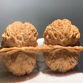 铁蛤蟆核桃文玩型号规格- 京东