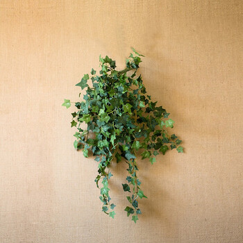 掬涵常春藤仿真绿植装饰爬藤缠绕藤蔓植物装饰造景墙面气氛d中型深