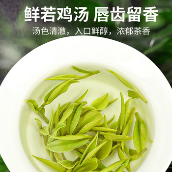 唐朴 绿茶安吉白茶明前特级250g 2025新茶叶礼盒观山春茶高端送礼品 唐朴 绿茶安吉白茶明前特级250g 2025新茶叶礼盒观山春茶高端送礼品