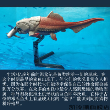 鄧氏魚男孩禮物盾皮恐鄧氏魚模型玩具滄龍蒼龍海王龍巨齒鯊大白海洋