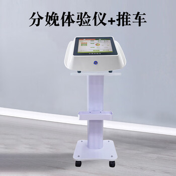 体验仪便携式疼痛男士男人生孩子模拟仪器商用分娩体验仪充电版推车