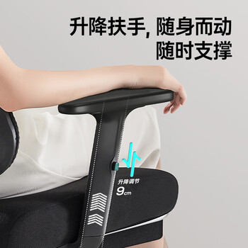 黑白调P5双背款-Ultra人体工学椅电脑椅子办公椅人工力学椅电竞椅无脚托