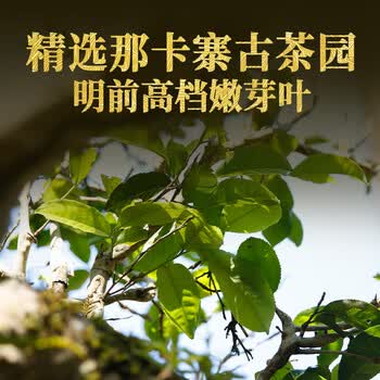 下关沱茶茶叶普洱生茶2022年珍藏孔雀高山古树饼茶357g 礼盒装送礼送老师
