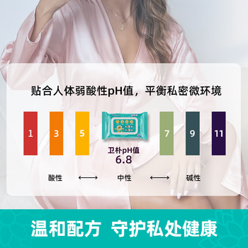 卫朴湿厕纸 家庭装40片*3包 痔疮可用杀菌抑菌私处可用 洁厕湿巾大包