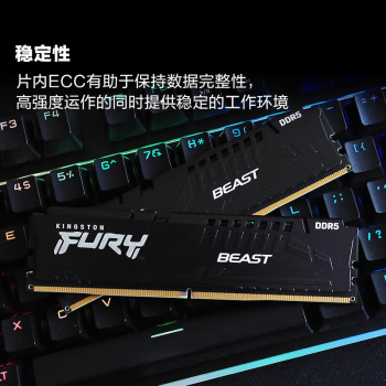 金士顿（Kingston）FURY 64GB(32G×2)套装 DDR5 6000 台式机内存条 Beast 超级野兽系列 海力士A-die颗粒 CL30