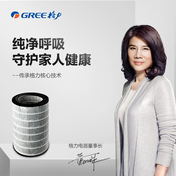 格力(GREE)空气净化器 原装滤网复合滤芯 家用除甲醛除雾霾PM2.5 配KJ520G-A01【配件】 格力(GREE)空气净化器 原装滤网复合滤芯 家用除甲醛除雾霾PM2.5 配KJ520G-A01【配件】