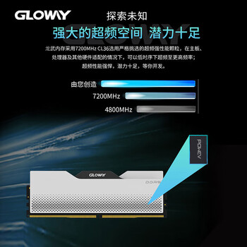光威（Gloway）48GB(24GBx2)套装 DDR5 7200 台式机内存条 龙武系列 海力士M-die颗粒 CL36 Deepseek硬件