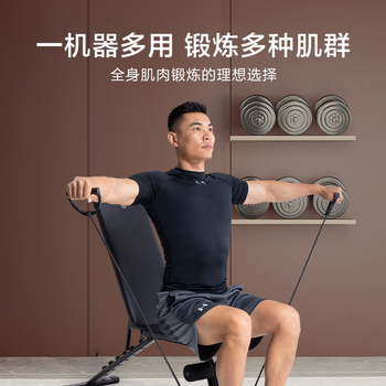 京东京造 黑武士哑铃凳仰卧起坐家用健身器械折叠飞鸟椅锻炼卧推拉力绳