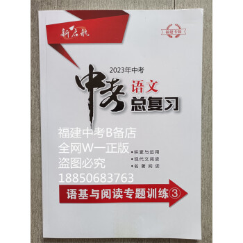 23年新启航中考语文总复习语基与阅读专题训练3福建专版语文九年级