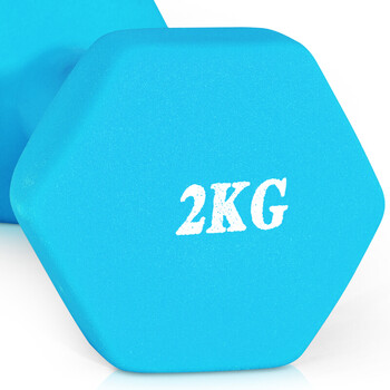 诚悦彩色浸塑哑铃男女家用健身塑型器材组合套装2kg*2宁静蓝色CY-130 诚悦彩色浸塑哑铃男女家用健身塑型器材组合套装2kg*2宁静蓝色CY-130