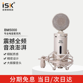 iSK BM-5000 コンデンサーマイク iSK BM-5000 コンデンサーマイク 配信機器・PA機器