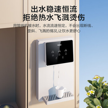 海尔（Haier）小企鹅管线机壁挂式家用无胆即热式厚膜速热直饮4档水温调节净水器净饮机HGR2207