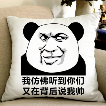 暴走漫画搞笑抱枕表情包个性文字靠枕恶搞馆长笑脸枕头 背后说我帅 50