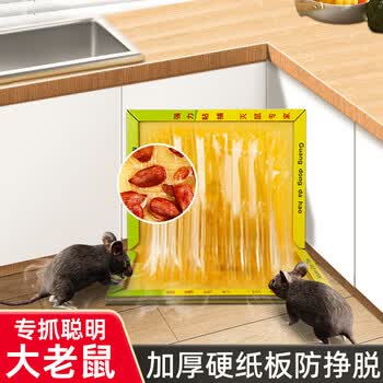 达豪粘鼠板一超强力老鼠贴窝家用捕鼠神器端加大加厚鼠板5张