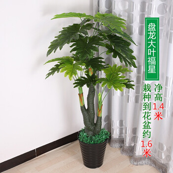 胶花仿真花装饰塑料花 仿真花摆件真仿真植物盆栽绿植金钱发财树仿真