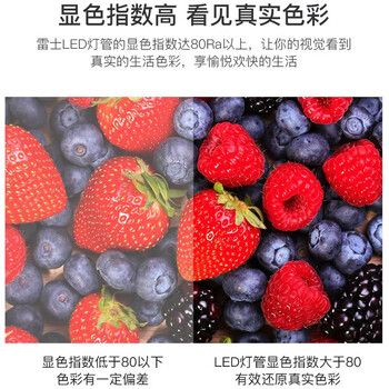 雷士（NVC） T8灯管 LED日光灯管1.2米24W正白光（不含支架 需自购）