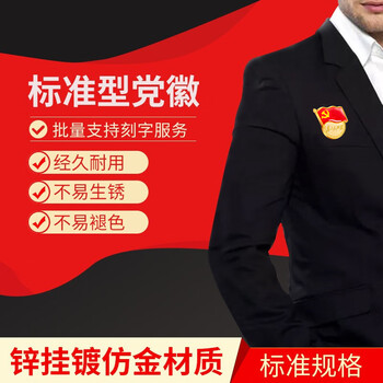 金隆兴 【不褪色】镀金党徽胸章 新党员徽章 为人民服务胸针 厚2.46mm 蝴蝶扣式 10个装 9366