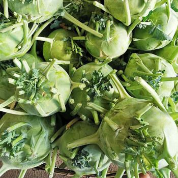 云南新鲜蔬菜苤蓝5斤农家自种当季叶菜类甘蓝芥兰芥菜头 3斤