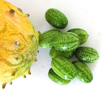 特色拇指西瓜新鲜迷你绿瓢小西瓜水果250g/500g 250g