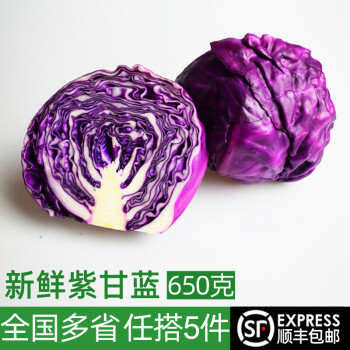绿食者 紫甘蓝650g 紫包菜球紫色红椰生菜 西餐沙拉蔬菜轻食健身食材