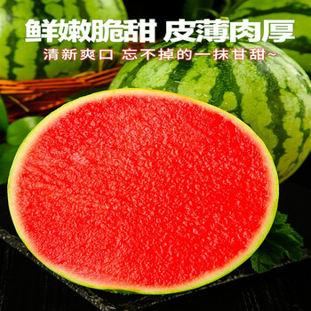 拾爱麒麟西瓜新鲜水果当季5斤8428麒麟小西瓜薄皮整箱沙瓤甜整箱98斤