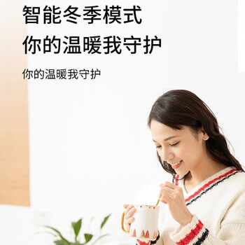 西屋（Westinghouse）即热式饮水机 小型台式即热饮水机家用 智能恒温电水壶保温杯 冲泡奶机WFH30-W4 