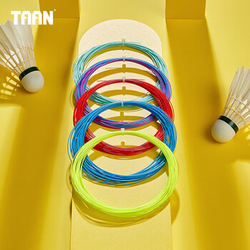TAAN泰昂羽毛球线弹力炫音羽毛球拍线绳王者法师七彩色一条 TAAN泰昂羽毛球线弹力炫音羽毛球拍线绳王者法师七彩色一条