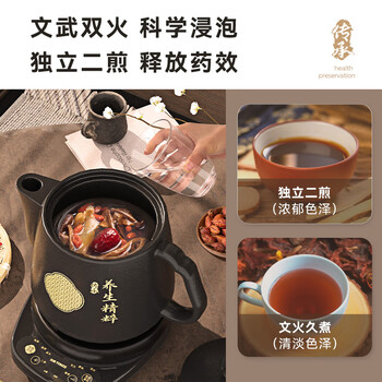 天际（TONZE）煎药壶中药壶中药锅智能分体全自动陶瓷炖药锅3L大容量养生熬药壶电药壶BJHD23A30FAW