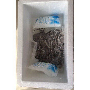 黄鳝鱼骨头500g化疗食补提白细胞干骨建湖胡彬卖鳝鱼骨鲜骨