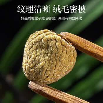 同仁堂（TRT）覆盆子茶男性滋补饱满大颗粒树莓泡水泡酒复盆子茶