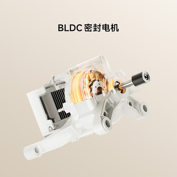 米家小米滚筒洗衣机全自动8公斤羊毛洗超薄机身智能洗一级能效租房XQG80MJ110 米家小米滚筒洗衣机全自动8公斤羊毛洗超薄机身智能洗一级能效租房XQG80MJ110