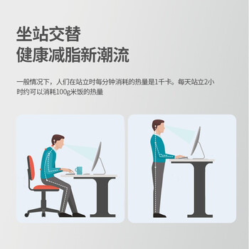乐歌站立办公升降台升降电脑桌上家用可折叠桌坐站交替 M2S雅黑