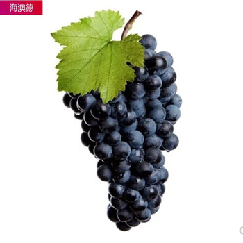 新疆吐鲁番葡萄苗无籽露小蜜蜂红提子果树苗当年结果南北方适合红地球