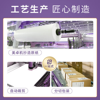 晨光(M&G)紫晨光 A4 70g 多功能双面打印纸 复印纸白色 500张/包 10包1箱 5000张)APYVQAS0 晨光(M&G)紫晨光 A4 70g 多功能双面打印纸 复印纸白色 500张/包 10包1箱 5000张)APYVQAS0
