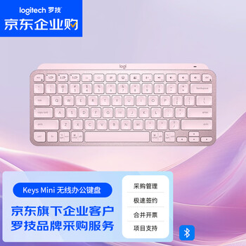 罗技大师系列 MX Keys Mini 企业级简约无线蓝牙键盘 高端办公键盘 笔记本ipad键盘 超薄便携 玫瑰粉