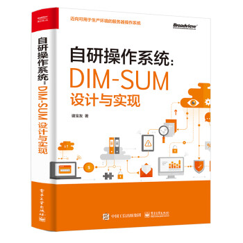 自研操作系统：DIM-SUM设计与实现