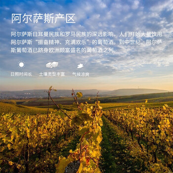 贝丽斯家族*红酒好不好优缺点实情？良心评测