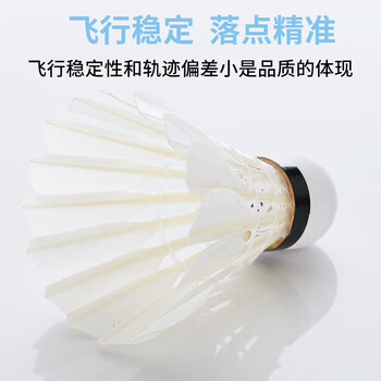 川崎（KAWASAKI）羽毛球耐打专业比赛训练鸭毛球10个装T75