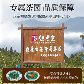 传奇会茶叶白茶传奇一号系列福鼎白茶白牡丹源产老白茶500g自己喝送礼