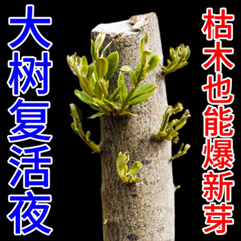 死树复活药大树复活液移栽成活液树木生根剂移植强力生根营养液 1瓶装