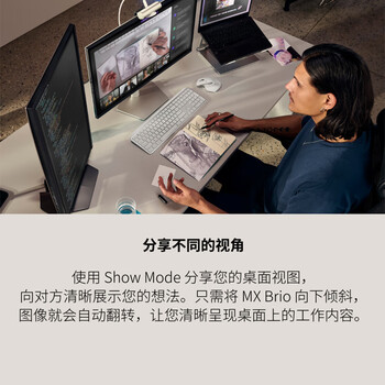 罗技（Logitech）大师系列 MX Brio 700 4K高清摄像头 网络直播摄像头 视频通话 会议网课 带隐私保护盖 石墨黑