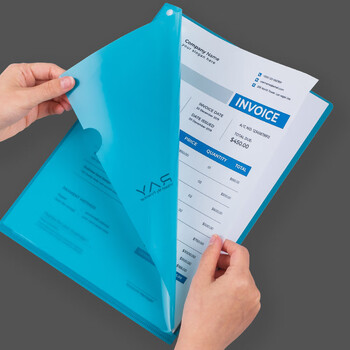 齐心（COMIX）10只A4L型文件套 文件夹透明单片夹 票据收纳 加厚二页式文件夹文件快递袋E3310 RAY 橙