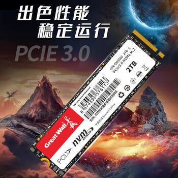长城(Great Wall)1TB SSD固态硬盘 M.2接口(NVMe协议)PCIe 3.0x4 GW3500系列 读速可高达3500MB/s 长城(Great Wall)1TB SSD固态硬盘 M.2接口(NVMe协议)PCIe 3.0x4 GW3500系列 读速可高达3500MB/s