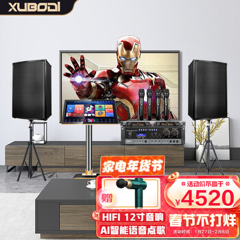 炫宝迪家庭影院ktv音响套装点歌机一体机家用卡拉ok会议室功放音箱语音点唱机台双系统 12寸音响+19.5寸点歌机3T+一拖四无线话筒