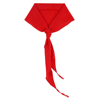 得印小学生红领巾 少先队员标准款1.2米红领巾开学必备 成人儿童节日活动红领巾 学生用品 10条装0784 得印小学生红领巾 少先队员标准款1.2米红领巾开学必备 成人儿童节日活动红领巾 学生用品 10条装0784