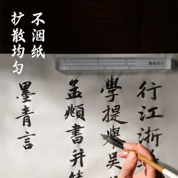 得力(deli)墨伍精制墨汁250g一得阁联名 初学者学生练习毛笔字墨水文房国画墨汁书法专用楷书黑色开学用品 得力(deli)墨伍精制墨汁250g一得阁联名 初学者学生练习毛笔字墨水文房国画墨汁书法专用楷书黑色开学用品